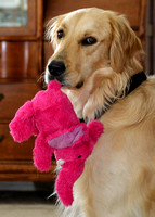 Abigail and Pink Elephant...Just Hangin'