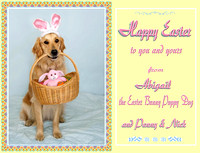 Easter Bunny Puppy Dog