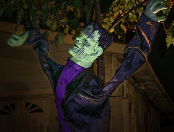 Frankenstein Just Hangin'