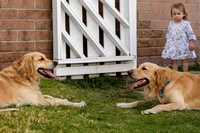 Fearless Remi Hangs Out with the Pups