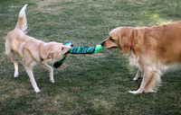 A Game of Tug