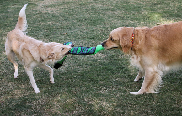 A Game of Tug
